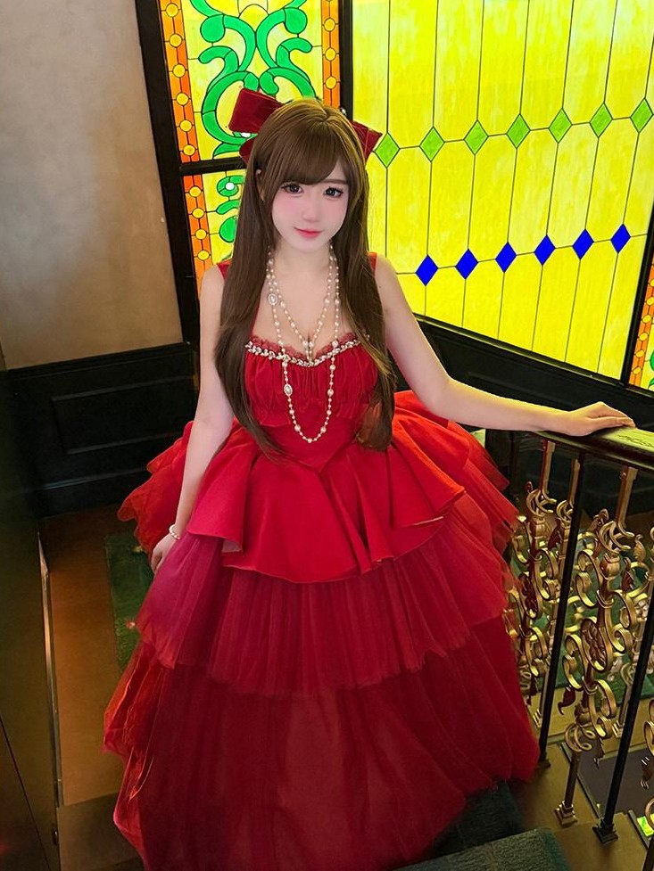 Diamond Sweetheart Romantic Rose Print Ballet Women's Tulle Jsk / Jumper Skirts